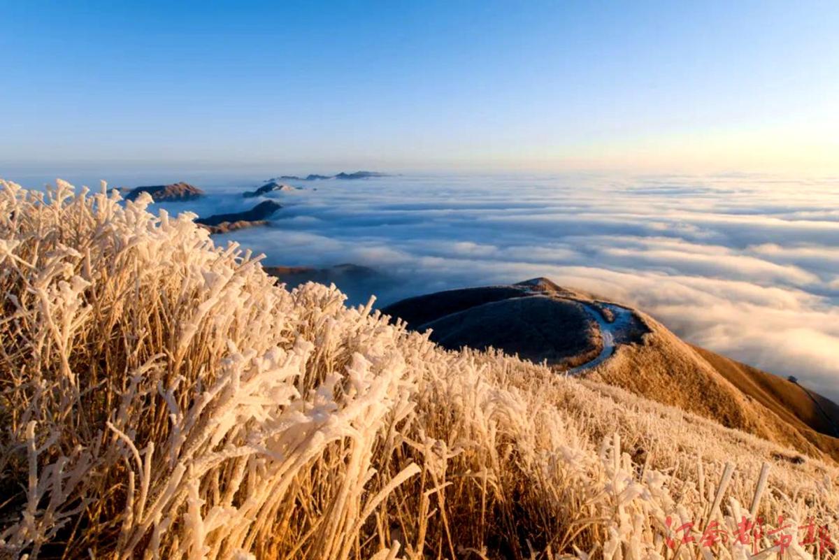 萍鄉武功山：霧凇云海，銀裝素裹